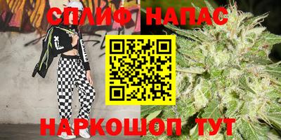 гидропоника Гусь-Хрустальный