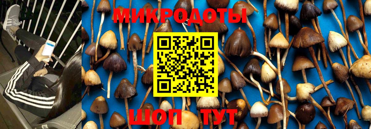 Галлюциногенные грибы прущие грибы  Псилоцибиновые грибы Psilocybe  Москва  Вход с VPN 